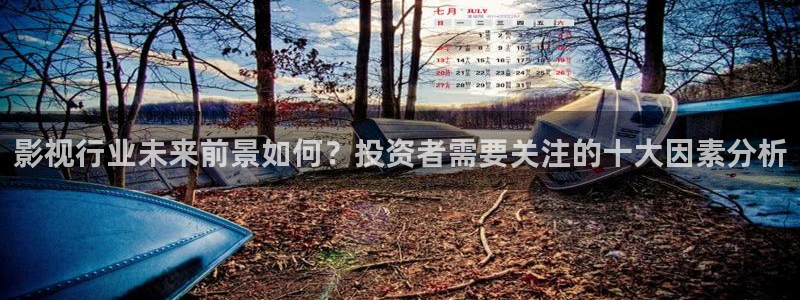 小小影视老版本：影视行业未来前景如何？投资者需要关注的十大因素分析