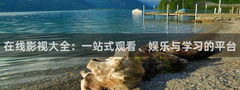 小小影视大全高清