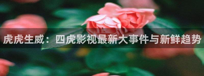 小小影视在线观看免费播放电视剧