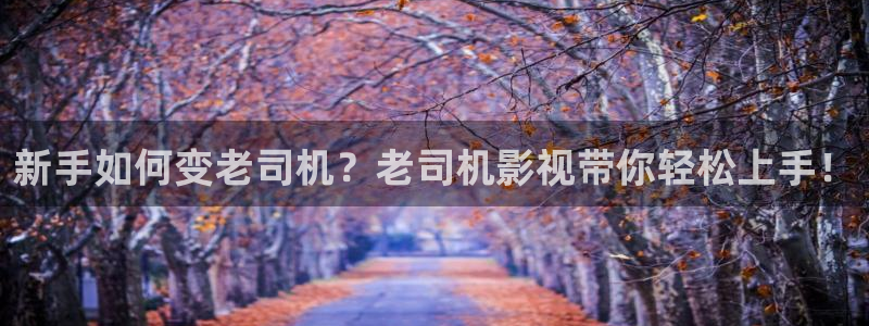 小小影视免费视频：新手如何变老司机？老司机影视带你轻松上手！